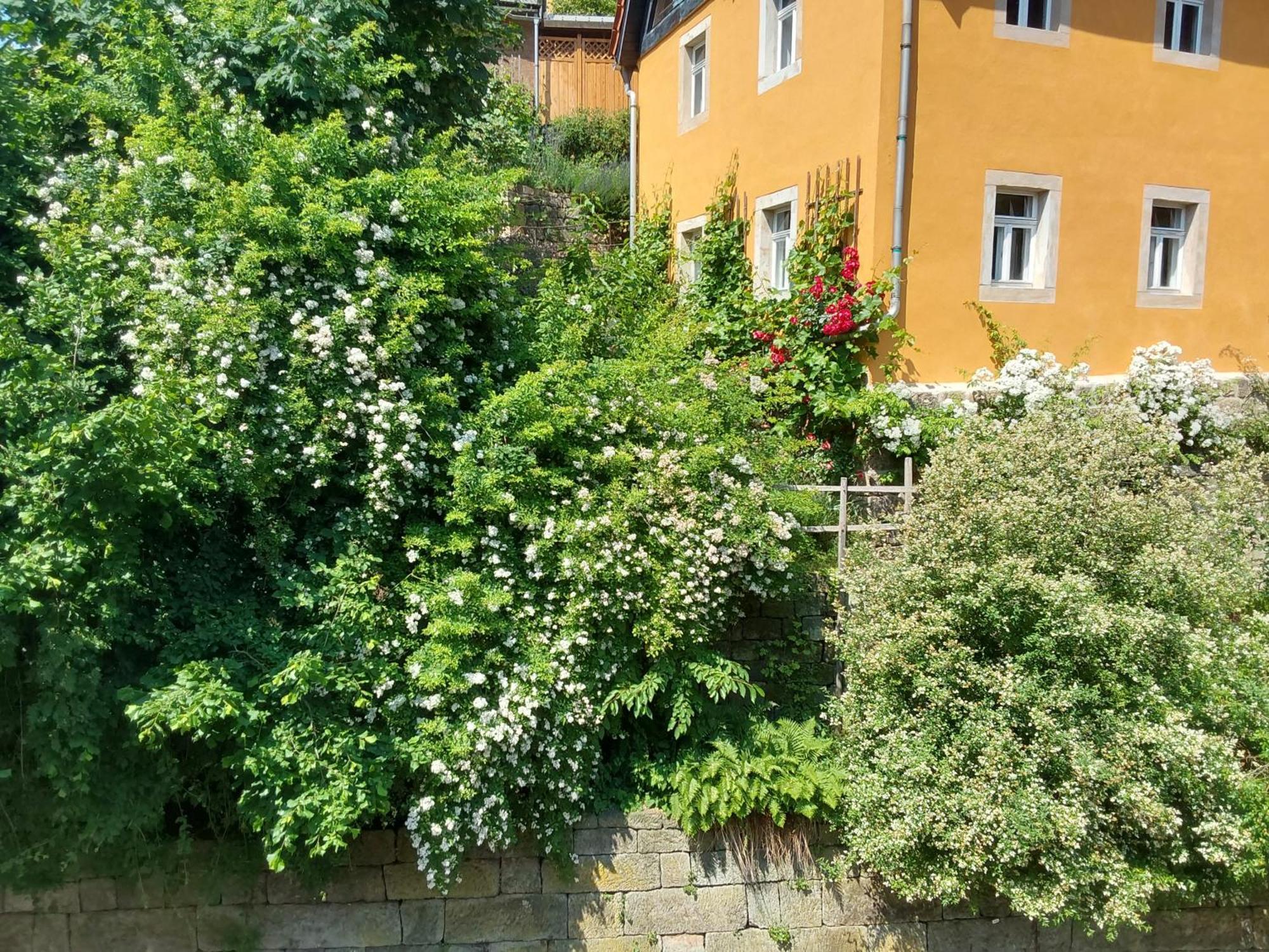 Bed And Breakfast Wehlen Щат Велен Екстериор снимка